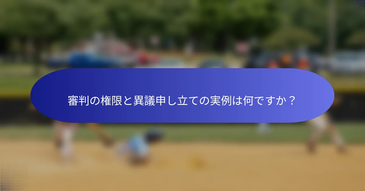 審判の権限と異議申し立ての実例は何ですか?